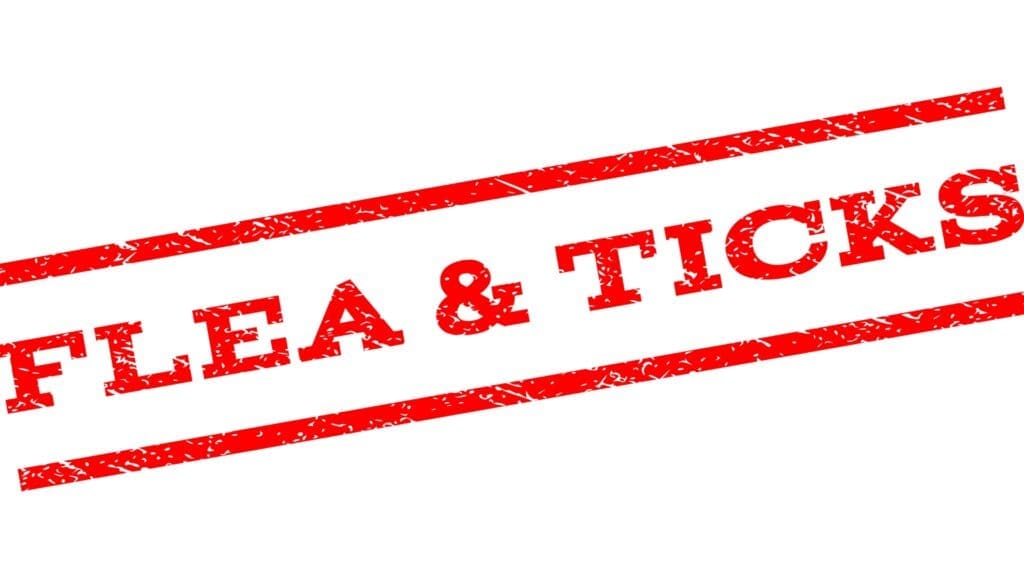 Flea & Tick Control